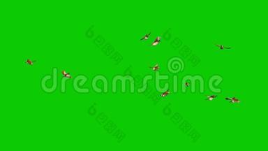 雀鸟飞绕绿屏循环三维渲染动画